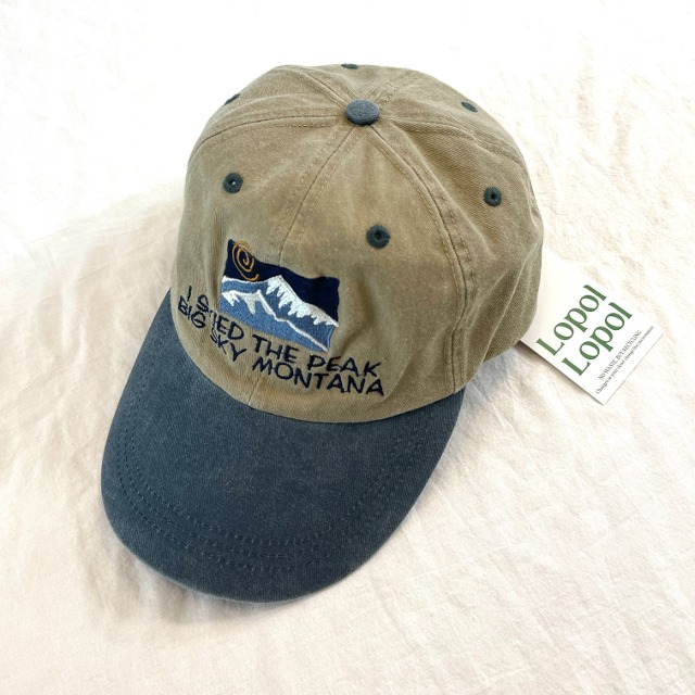 Vintage ball cap (ac024)