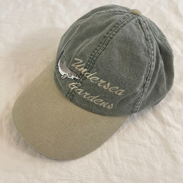 Vintage ball cap (ac015)