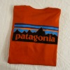 Patagonia short sleeve (ts495)