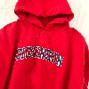 Champion authentic hoodie (sw278)